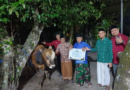 PDM dan RS PKU Muhammadiyah Bantul Serahkan Sapi Kurban pada Malam Takbir