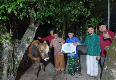 PDM dan RS PKU Muhammadiyah Bantul Serahkan Sapi Kurban pada Malam Takbir