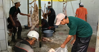 Pertama Kali, KBIHU Aisyiyah Bantul Kelola dan Sembelih 543 Kambing Hadyu Jamaah Haji